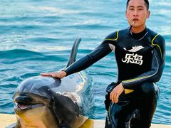 -秦皇岛乐岛海洋王国