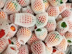-菜园坝水果市场