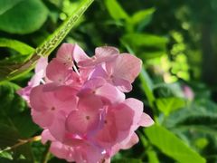 -常州古运河南大街文化旅游区-人民公园