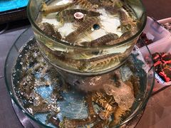 -强记海鲜·大排档(蛇口新街店)