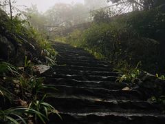 -蝶舞清江·恩施云顶景区(黄鹤峰林)