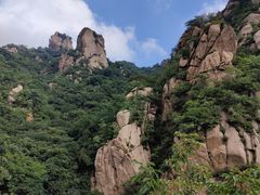 -大岭沟猕猴桃谷风景区