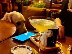 -咖法森林·咖啡  酒吧(天河店)