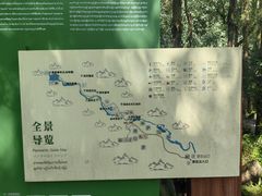 -莫里热带雨林景区