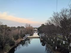 -昆山城市生态森林公园