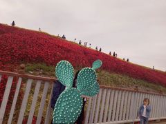 -天河潭旅游度假区