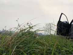 -开平碉楼文化旅游区马降龙景区