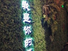 门面-嫩芽·重庆菜馆(十八梯露台观景店)