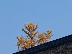 -平安桥天主教堂
