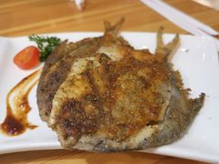 -割烹旭日本料理(龙湖狮山天街店)