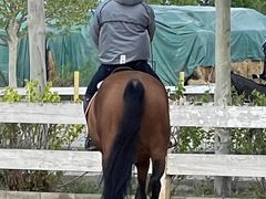 -北京群众马术培训基地