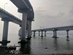 -星海湾跨海大桥