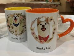 -Husky Go! 哈士奇体验馆·宠物咖啡厅狗咖