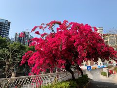 -小南山公园