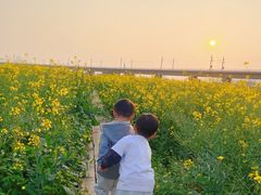 -光明小镇欢乐田园