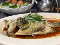 清蒸石斑鱼-海鲜e族(马王堆店)