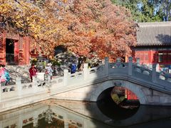 -香山公园