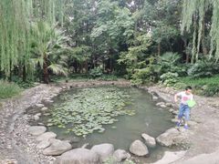 -苏州河梦清园环保主题公园