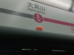 -大龙山(地铁站)