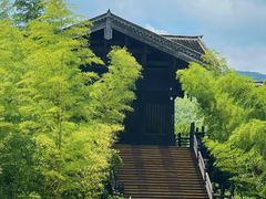 -大唐贡茶院