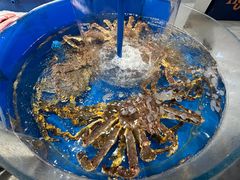 -北塘海鲜·天津菜(大光明桥旗舰店)