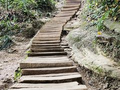 -青城山