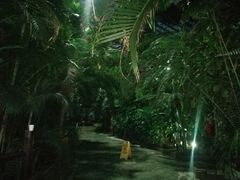 -龙达温泉生态城