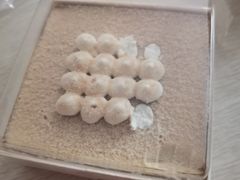 -沃尔玛(咸宁温泉路店)