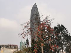 -荔枝公园(福田区)