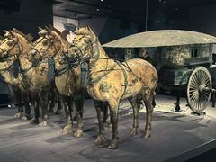 -秦始皇帝陵博物院-丽山园