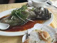 -老字号蛇口德记烧腊饭店·海鲜加工