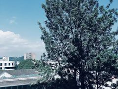 -四川农业大学(雅安校区)