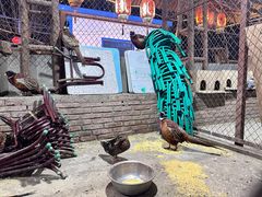 -鱼窝棚柴火铁锅炖(富山屯店)