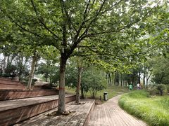 -潇河湿地公园