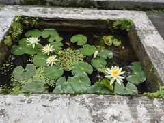 -南华禅寺