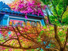 -深圳国际园林花卉博览园