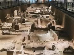 -洛阳周王城天子驾六博物馆