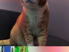 -极木²邸 人与宠物·互动社区