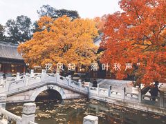 -香山公园