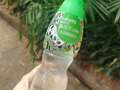 -广州长隆野生动物世界