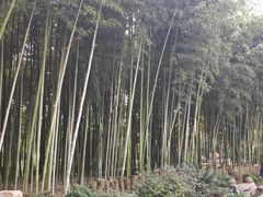 -荆川公园