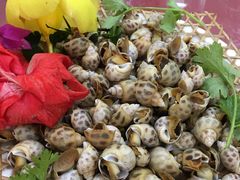 -南海渔家•海鲜•正宗海南菜(海棠湾店)