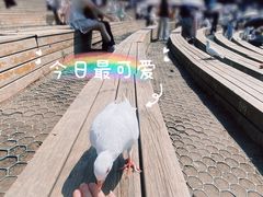 -音乐台