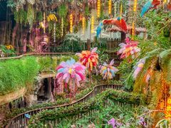 -正佳雨林生态植物园