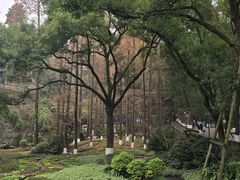 -忠山公园