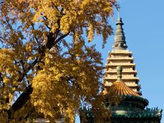 -北京石刻艺术博物馆(五塔寺)