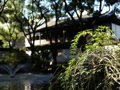 -上海醉白池公园