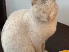-苏州环秀晓筑养生度假村
