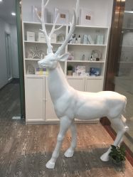 -时间海科学美容