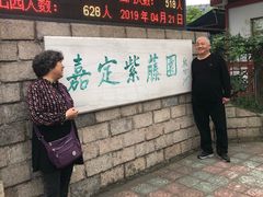 -嘉定紫藤园